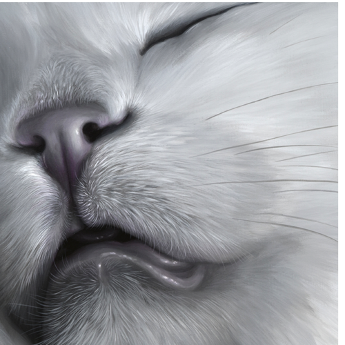 face-15