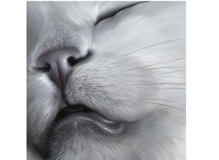 face-15